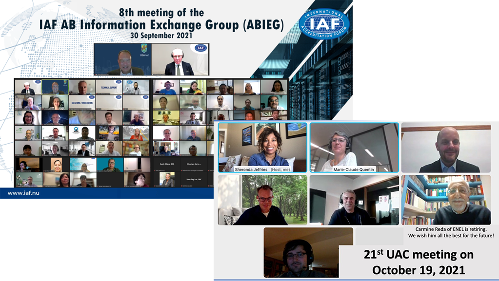IAF Advisory Committees Hold their Annual Meetings – IAF Outlook